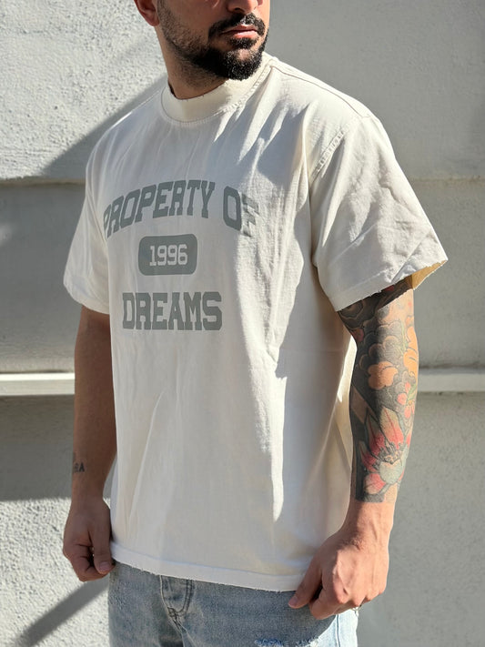 T-SHIRT PROPERTY